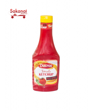 DUCROS KETCHUP HOT EPICE 500G