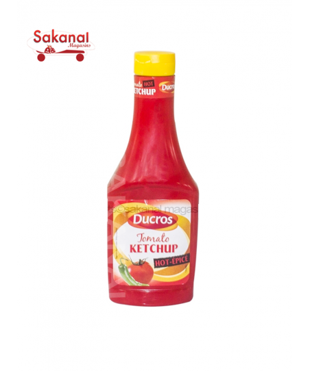 DUCROS KETCHUP HOT EPICE 500G