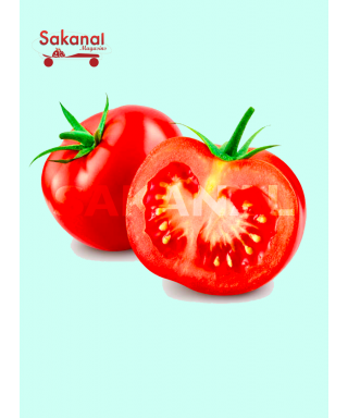 TOMATE FRAICHE 1KG